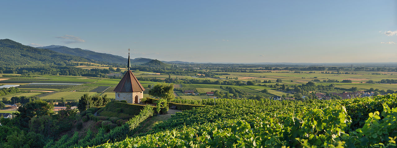 das schöne Markgräfler Land